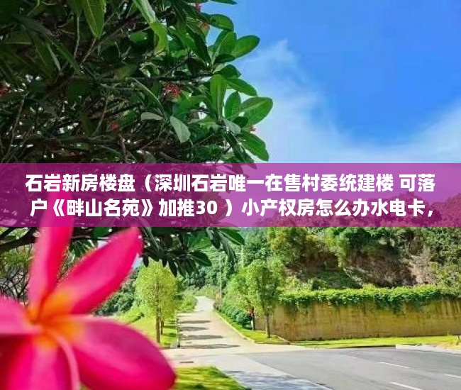 石岩新房楼盘（深圳石岩唯一在售村委统建楼 可落户《畔山名苑》加推30 ）小产权房怎么办水电卡，