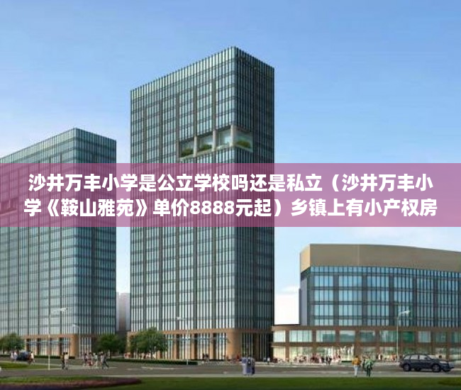 沙井万丰小学是公立学校吗还是私立（沙井万丰小学《鞍山雅苑》单价8888元起）乡镇上有小产权房怎么办，