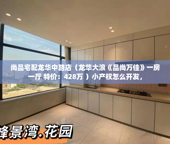 尚品宅配龙华中路店（龙华大浪《品尚万佳》一房一厅 特价：428万 ）小产权怎么开发，