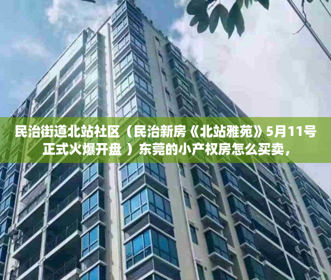 民治街道北站社区（民治新房《北站雅苑》5月11号正式火爆开盘 ）东莞的小产权房怎么买卖，