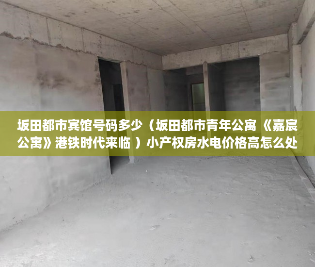 坂田都市宾馆号码多少（坂田都市青年公寓 《嘉宸公寓》港铁时代来临 ）小产权房水电价格高怎么处理，