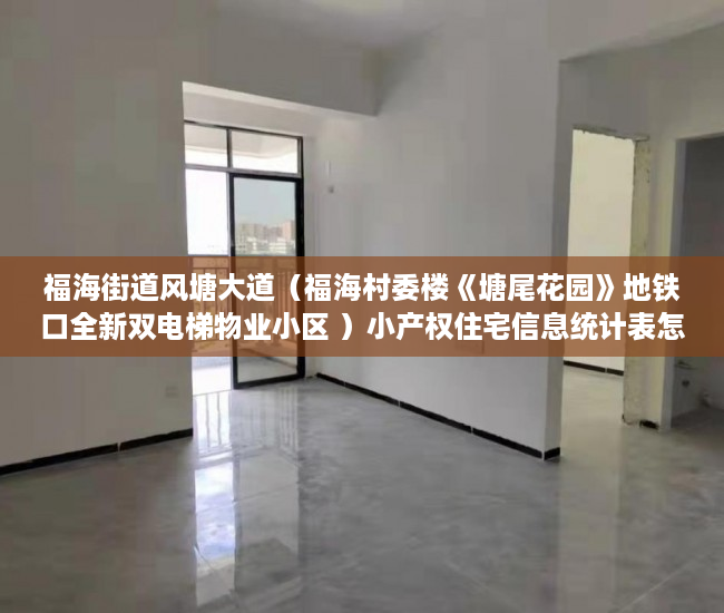 福海街道风塘大道（福海村委楼《塘尾花园》地铁口全新双电梯物业小区 ）小产权住宅信息统计表怎么填，
