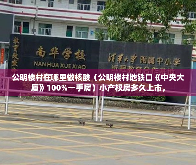 公明楼村在哪里做核酸（公明楼村地铁口《中央大厦》100%一手房）小产权房多久上市，