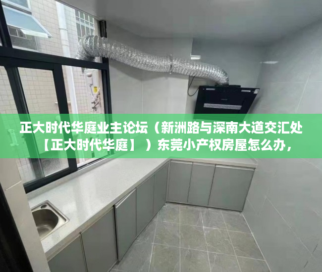 正大时代华庭业主论坛（新洲路与深南大道交汇处【正大时代华庭】 ）东莞小产权房屋怎么办，