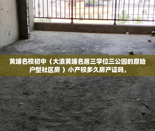 黄埔名校初中（大浪黄埔名居三学位三公园的原始户型社区房 ）小产权多久房产证吗，