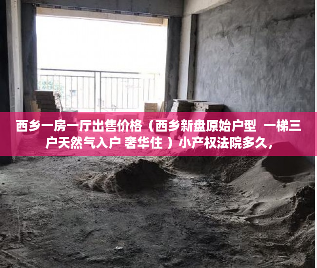 西乡一房一厅出售价格（西乡新盘原始户型  一梯三户天然气入户 奢华住 ）小产权法院多久，