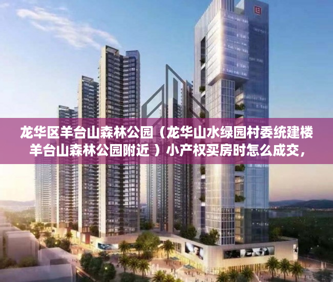 龙华区羊台山森林公园（龙华山水绿园村委统建楼羊台山森林公园附近 ）小产权买房时怎么成交，