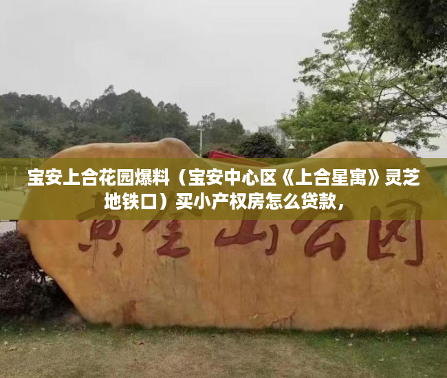 宝安上合花园爆料（宝安中心区《上合星寓》灵芝地铁口）买小产权房怎么贷款，