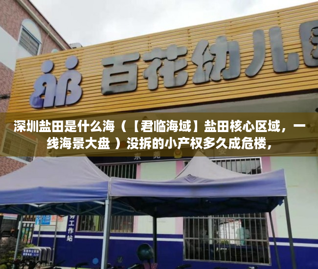 深圳盐田是什么海（【君临海域】盐田核心区域，一线海景大盘 ）没拆的小产权多久成危楼，