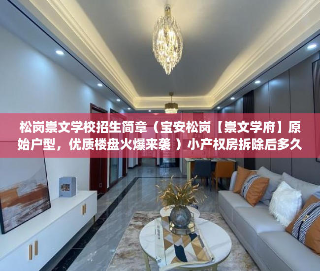 松岗崇文学校招生简章（宝安松岗【崇文学府】原始户型，优质楼盘火爆来袭 ）小产权房拆除后多久可以拆除，