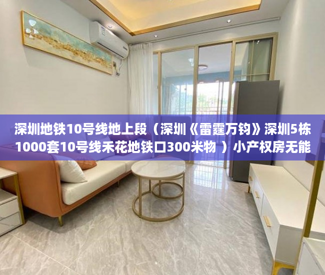 深圳地铁10号线地上段（深圳《雷霆万钧》深圳5栋1000套10号线禾花地铁口300米物 ）小产权房无能力偿还债务怎么办，