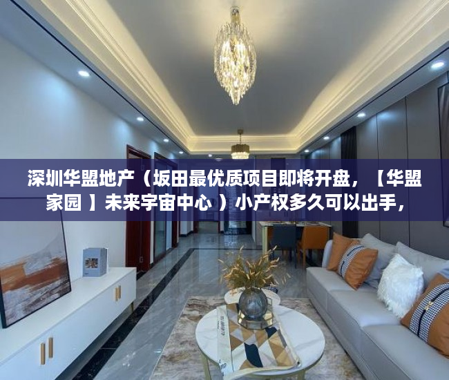 深圳华盟地产（坂田最优质项目即将开盘，【华盟家园 】未来宇宙中心 ）小产权多久可以出手，