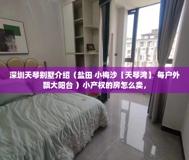 深圳天琴别墅介绍（盐田 小梅沙【天琴湾】 每户外飘大阳台 ）小产权的房怎么卖，