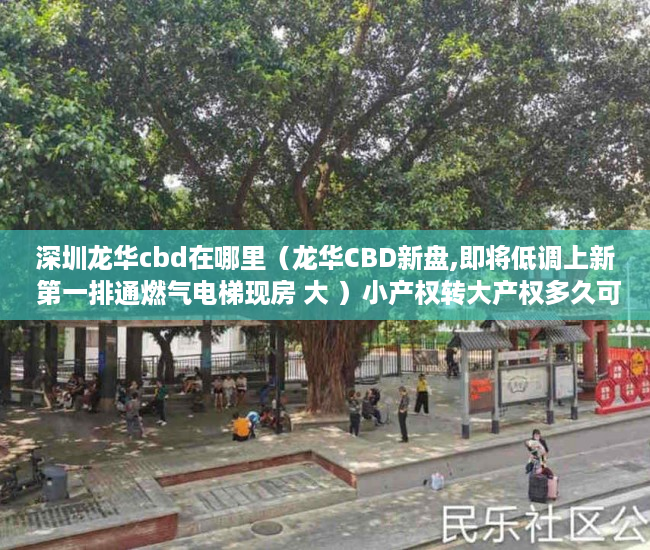 深圳龙华cbd在哪里（龙华CBD新盘,即将低调上新 第一排通燃气电梯现房 大 ）小产权转大产权多久可以下来，
