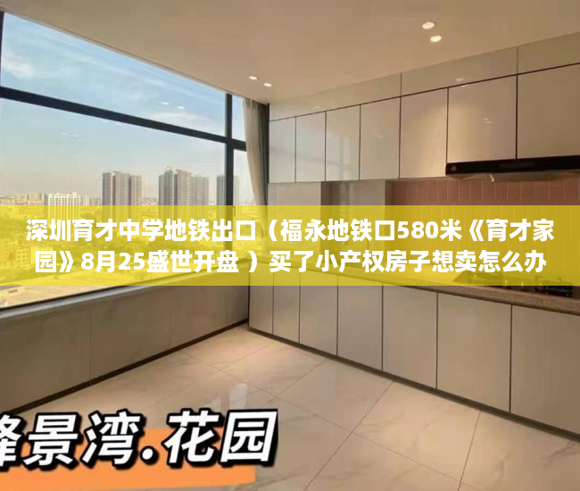深圳育才中学地铁出口（福永地铁口580米《育才家园》8月25盛世开盘 ）买了小产权房子想卖怎么办，