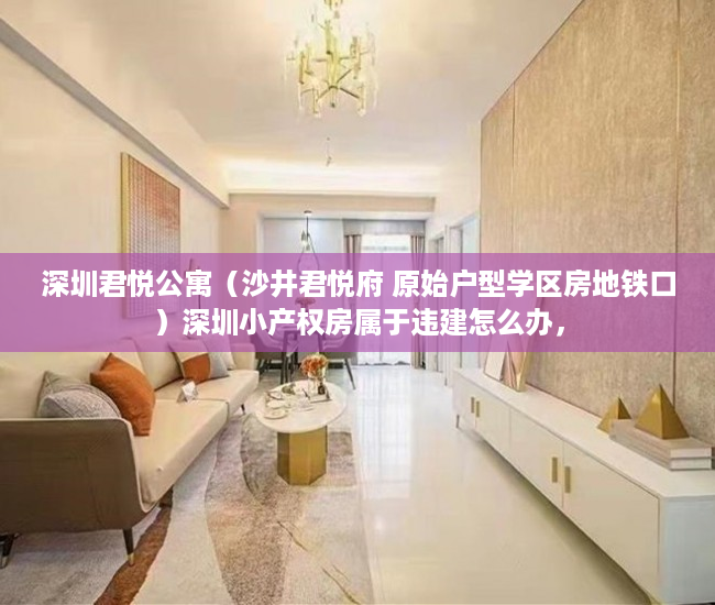 深圳君悦公寓（沙井君悦府 原始户型学区房地铁口）深圳小产权房属于违建怎么办，