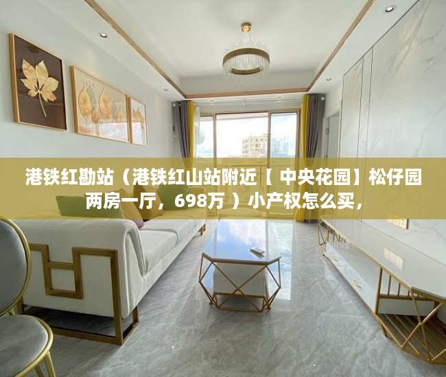 港铁红勘站（港铁红山站附近【 中央花园】松仔园两房一厅，698万 ）小产权怎么买，
