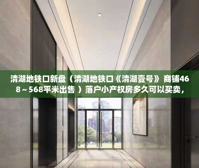 清湖地铁口新盘（清湖地铁口《清湖壹号》 商铺468～568平米出售 ）落户小产权房多久可以买卖，