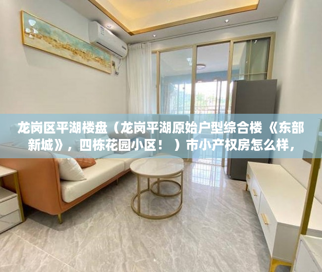 龙岗区平湖楼盘（龙岗平湖原始户型综合楼 《东部新城》，四栋花园小区！ ）市小产权房怎么样，
