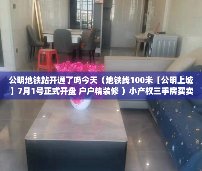 公明地铁站开通了吗今天（地铁线100米【公明上城】7月1号正式开盘 户户精装修 ）小产权三手房买卖合同怎么处理，