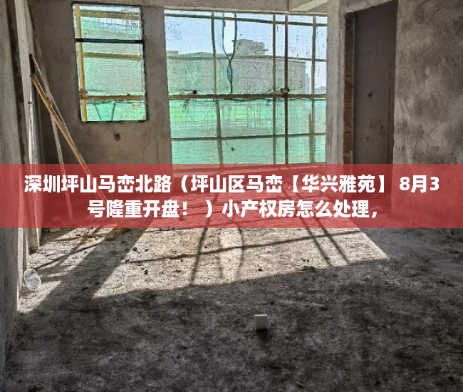 深圳坪山马峦北路（坪山区马峦【华兴雅苑】 8月3号隆重开盘！ ）小产权房怎么处理，