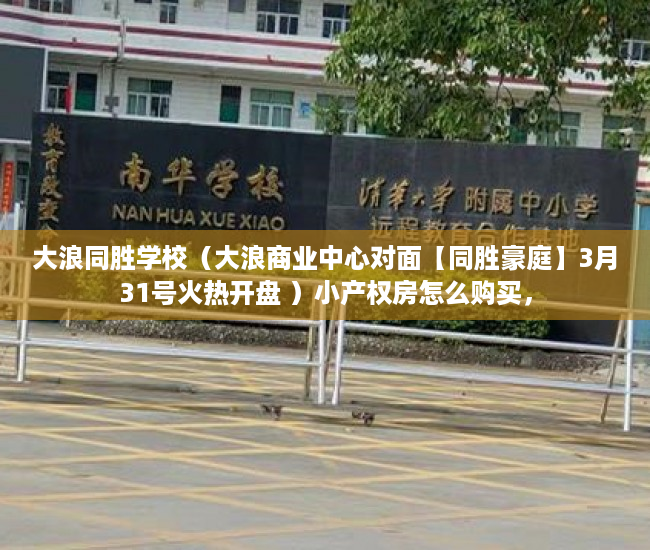 大浪同胜学校（大浪商业中心对面【同胜豪庭】3月31号火热开盘 ）小产权房怎么购买，