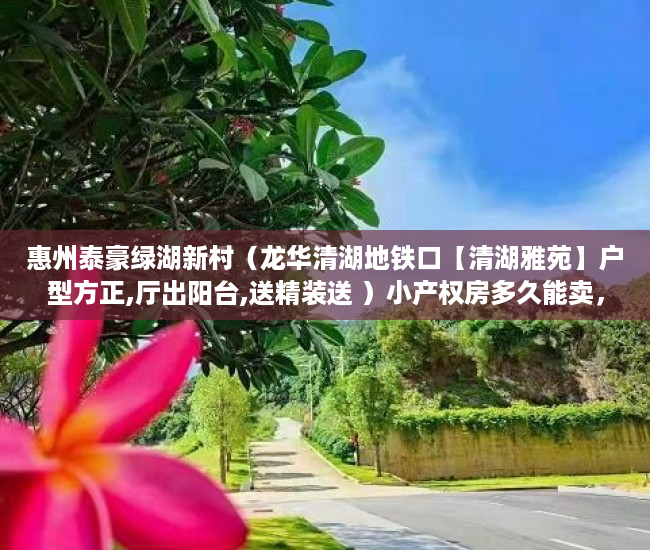 惠州泰豪绿湖新村（龙华清湖地铁口【清湖雅苑】户型方正,厅出阳台,送精装送 ）小产权房多久能卖，