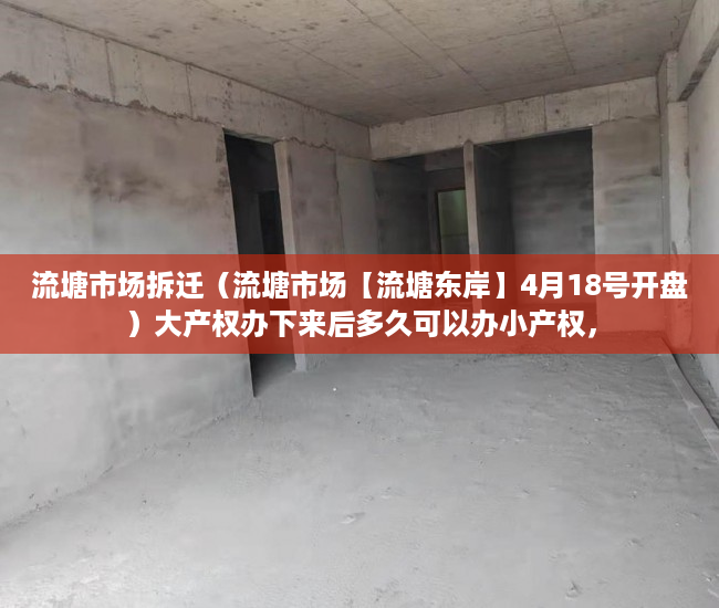 流塘市场拆迁（流塘市场【流塘东岸】4月18号开盘）大产权办下来后多久可以办小产权，