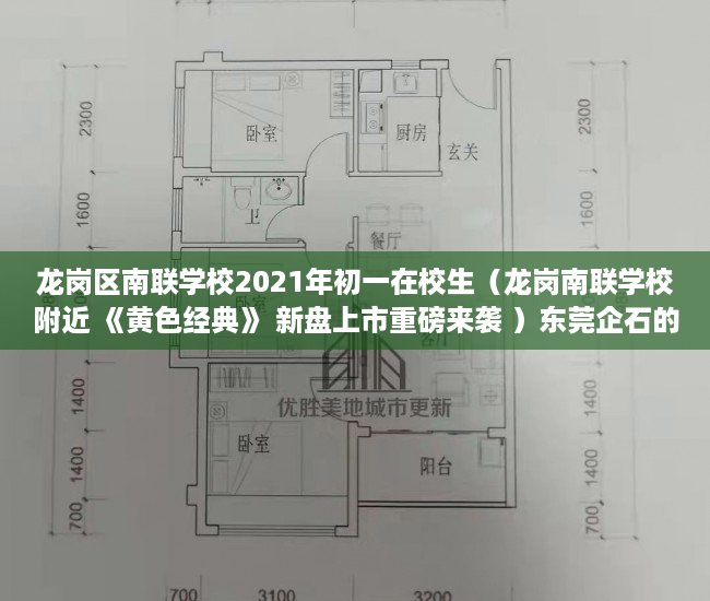 龙岗区南联学校2021年初一在校生（龙岗南联学校附近 《黄色经典》 新盘上市重磅来袭 ）东莞企石的小产权房怎么办，