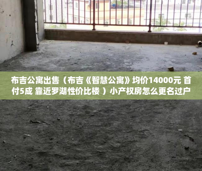 布吉公寓出售（布吉《智慧公寓》均价14000元 首付5成 靠近罗湖性价比楼 ）小产权房怎么更名过户要多久，