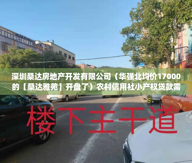 深圳桑达房地产开发有限公司（华强北均价17000的【桑达雅苑】开盘了）农村信用社小产权贷款需要多久，