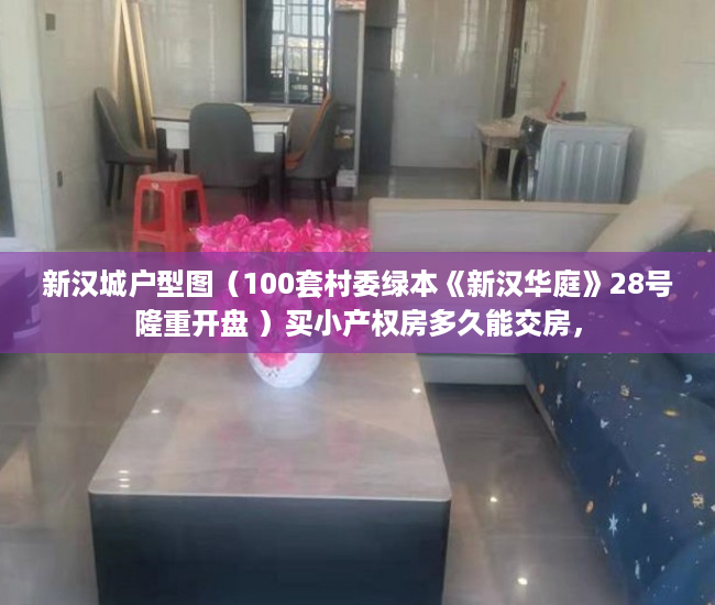 新汉城户型图（100套村委绿本《新汉华庭》28号隆重开盘 ）买小产权房多久能交房，