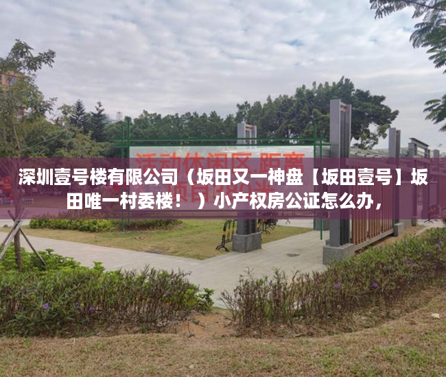 深圳壹号楼有限公司（坂田又一神盘【坂田壹号】坂田唯一村委楼！ ）小产权房公证怎么办，