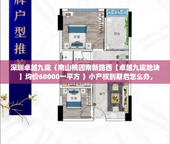深圳卓越九珑（南山桃园南新路西【卓越九珑地块】均价60000一平方 ）小产权到期后怎么办，