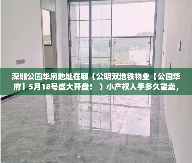 深圳公园华府地址在哪（公明双地铁物业【公园华府】5月18号盛大开盘！ ）小产权入手多久能卖，