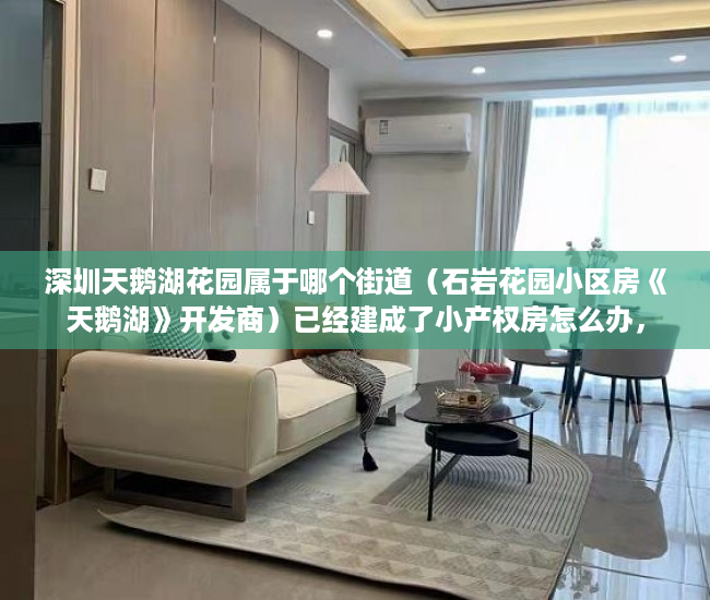 深圳天鹅湖花园属于哪个街道（石岩花园小区房《天鹅湖》开发商）已经建成了小产权房怎么办，