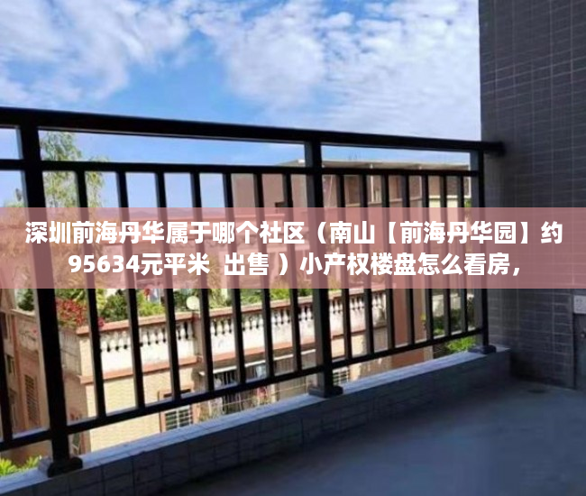 深圳前海丹华属于哪个社区（南山【前海丹华园】约95634元平米  出售 ）小产权楼盘怎么看房，