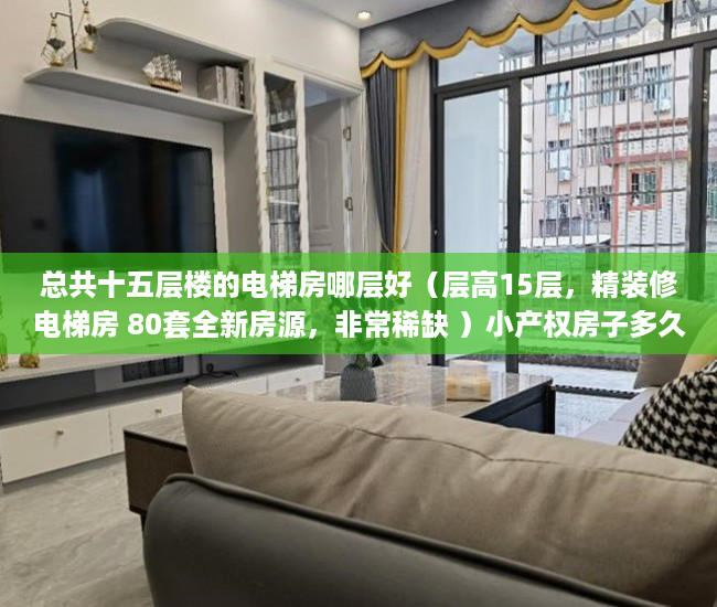 总共十五层楼的电梯房哪层好（层高15层，精装修电梯房 80套全新房源，非常稀缺 ）小产权房子多久能卖出去，