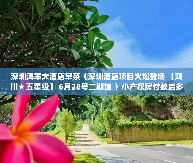 深圳鸿丰大酒店早茶（深圳酒店项目火爆登场 【鸿川★五星级】 6月28号二期加 ）小产权房付款后多久可以装修，