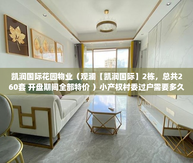 凯润国际花园物业（观澜【凯润国际】2栋，总共260套 开盘期间全部特价 ）小产权村委过户需要多久，