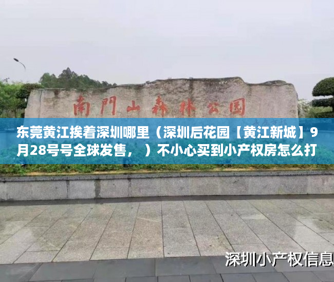 东莞黄江挨着深圳哪里（深圳后花园【黄江新城】9月28号号全球发售， ）不小心买到小产权房怎么打官司，