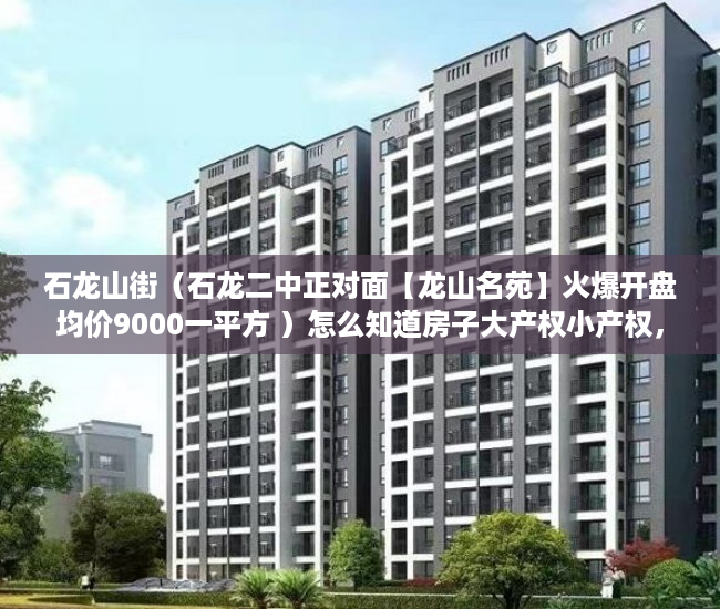 石龙山街（石龙二中正对面【龙山名苑】火爆开盘均价9000一平方 ）怎么知道房子大产权小产权，