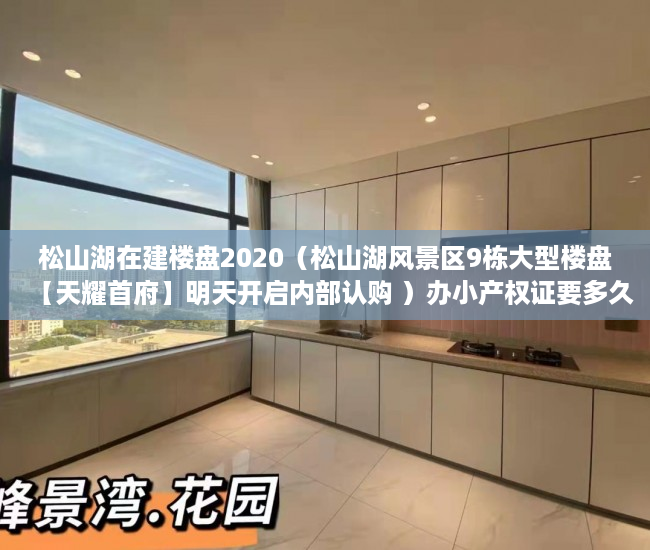 松山湖在建楼盘2020（松山湖风景区9栋大型楼盘【天耀首府】明天开启内部认购 ）办小产权证要多久，