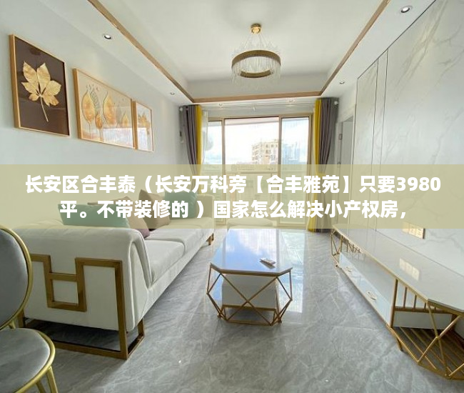长安区合丰泰（长安万科旁【合丰雅苑】只要3980平。不带装修的 ）国家怎么解决小产权房，