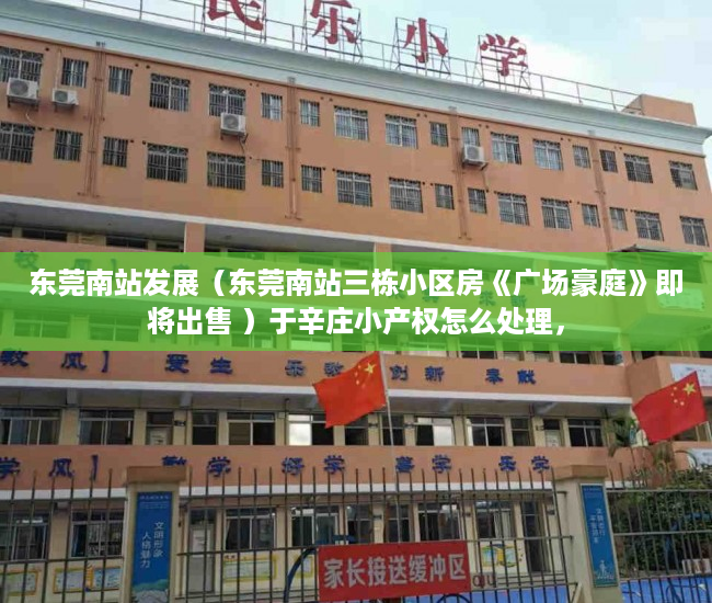 东莞南站发展（东莞南站三栋小区房《广场豪庭》即将出售 ）于辛庄小产权怎么处理，