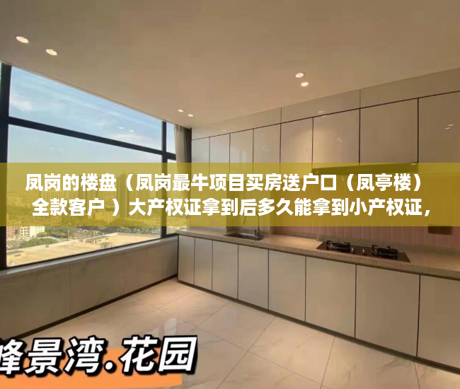 凤岗的楼盘（凤岗最牛项目买房送户口（凤亭楼） 全款客户 ）大产权证拿到后多久能拿到小产权证，