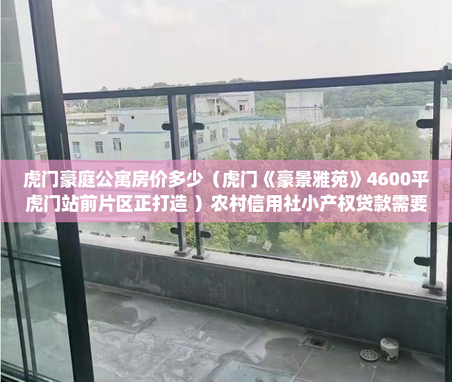 虎门豪庭公寓房价多少（虎门《豪景雅苑》4600平虎门站前片区正打造 ）农村信用社小产权贷款需要多久，