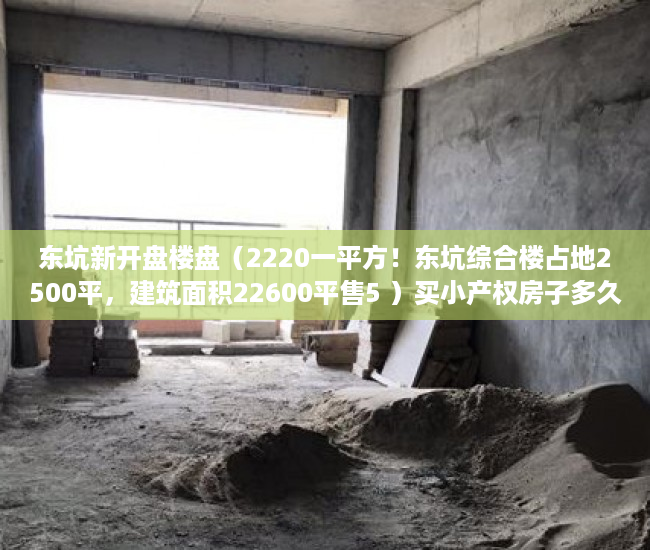 东坑新开盘楼盘（2220一平方！东坑综合楼占地2500平，建筑面积22600平售5 ）买小产权房子多久可以卖，