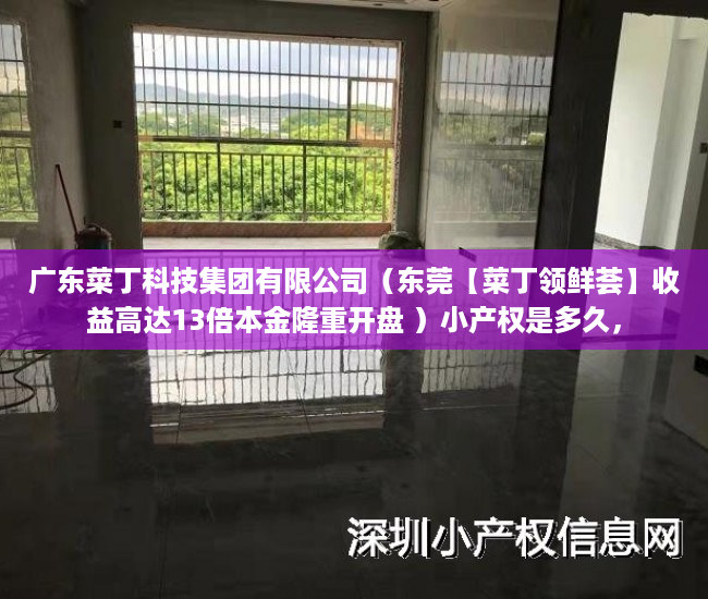 广东菜丁科技集团有限公司（东莞【菜丁领鲜荟】收益高达13倍本金隆重开盘 ）小产权是多久，