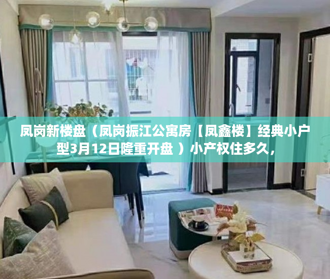 凤岗新楼盘（凤岗振江公寓房【凤鑫楼】经典小户型3月12日隆重开盘 ）小产权住多久，